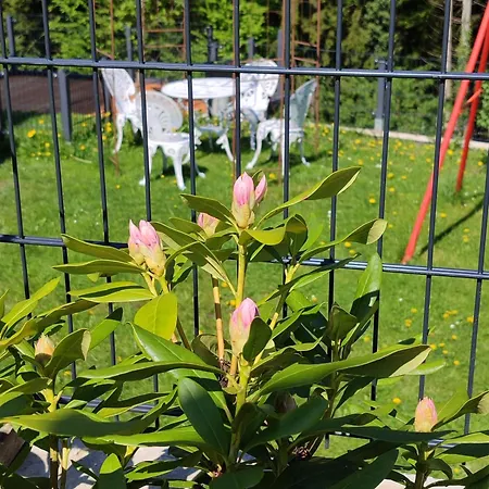 Sigi Apartment Barnbäch