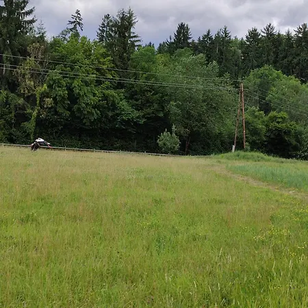 Апартаменты Sigi