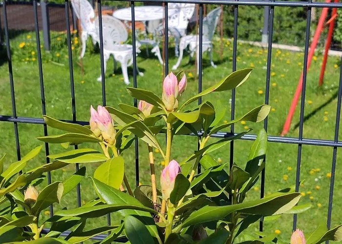 Sigi شقة Barnbäch